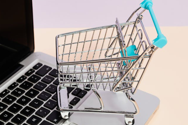 E-Commerce Development